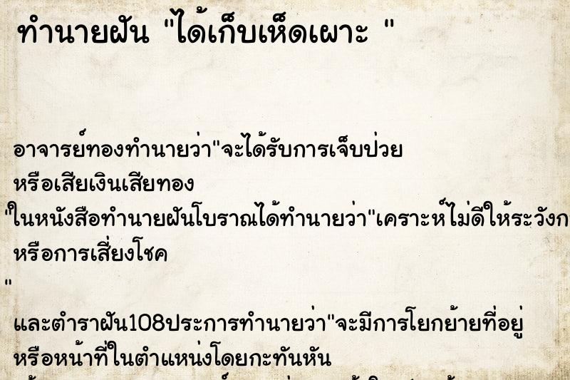 ทำนายฝันทำนายฝันได้เก็บเห็ดเผาะ